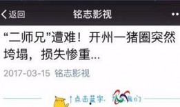 常州自媒体爆料案件最新,惊天案件背后真相揭晓