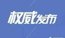 石家庄网友爆料新闻事件,惊现神秘事件，真相令人震惊！