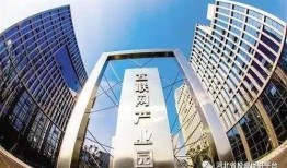 重庆高新区爆料案件最新,揭秘背后惊人真相